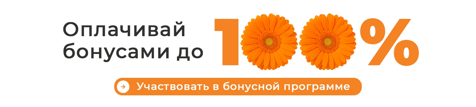 Баннер бонусы