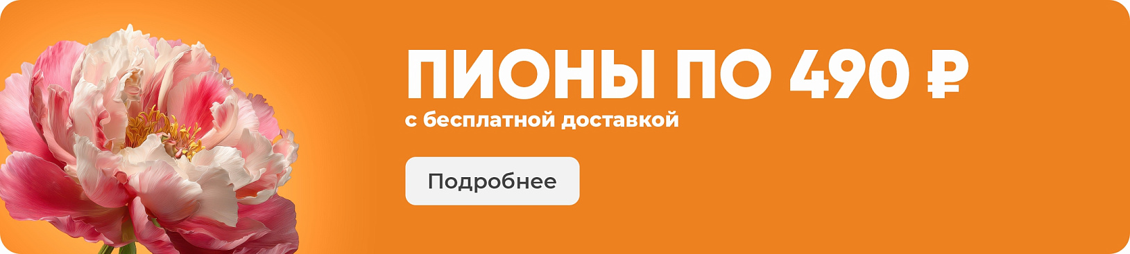 Пионы