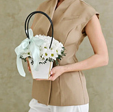 Композиция из хризантемы Пальмира