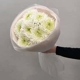 Букет "Визе" из одноголовой хризантемы